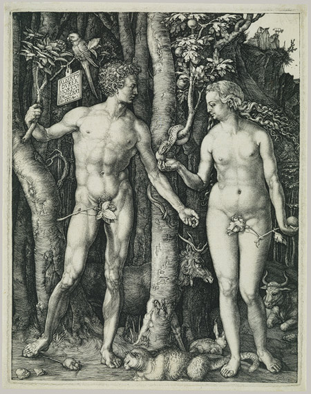 Adam and Eve; an engraving by Albrecht Durer